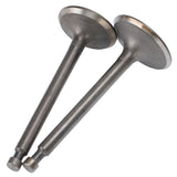Intake Exhaust Valves Motor Replacement Part Accessory Fit for 188F/GX390 Generator - Low Angle