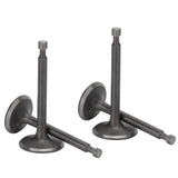 2 Set Intake Exhaust Valve Kit 170F/GX210 Cylinder Head 2.5kw‑3kw Gasoline Generator Parts - Low Angle