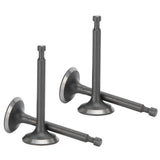 2 Set Intake Exhaust Valve Kit 168F Cylinder Head GX160/GX200 2-2.5kw Gasoline Generator Parts