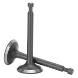 2 Set Intake Exhaust Valve Kit 168F Cylinder Head GX160/GX200 2-2.5kw Gasoline Generator Parts