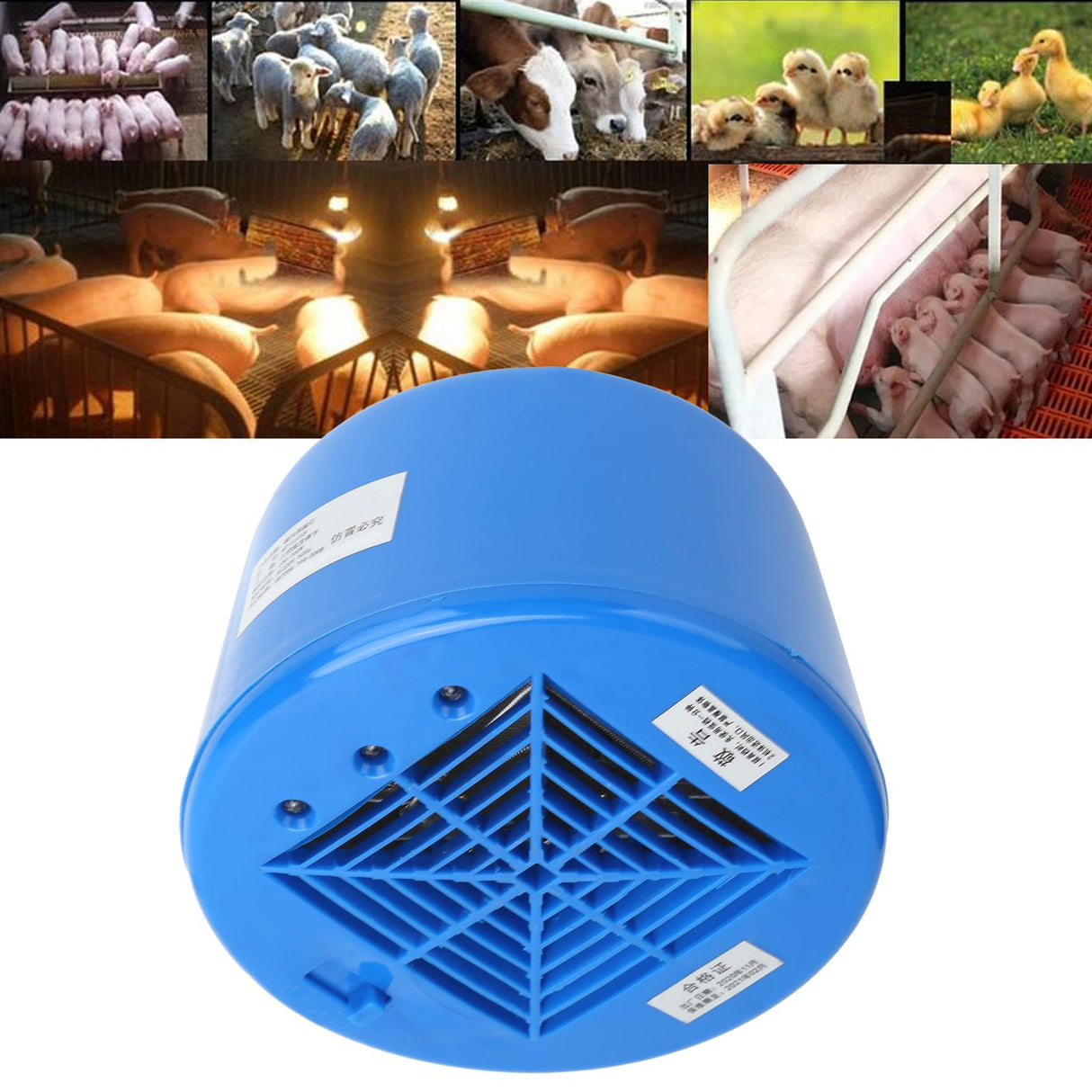 Piglet Heat Lamp 220V 100-300W Chicken Pet Heating Bulb Livestock Accessory Blue
