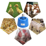 Piglet Heat Lamp 220V 100-300W Chicken Pet Heating Bulb Livestock Accessory Blue