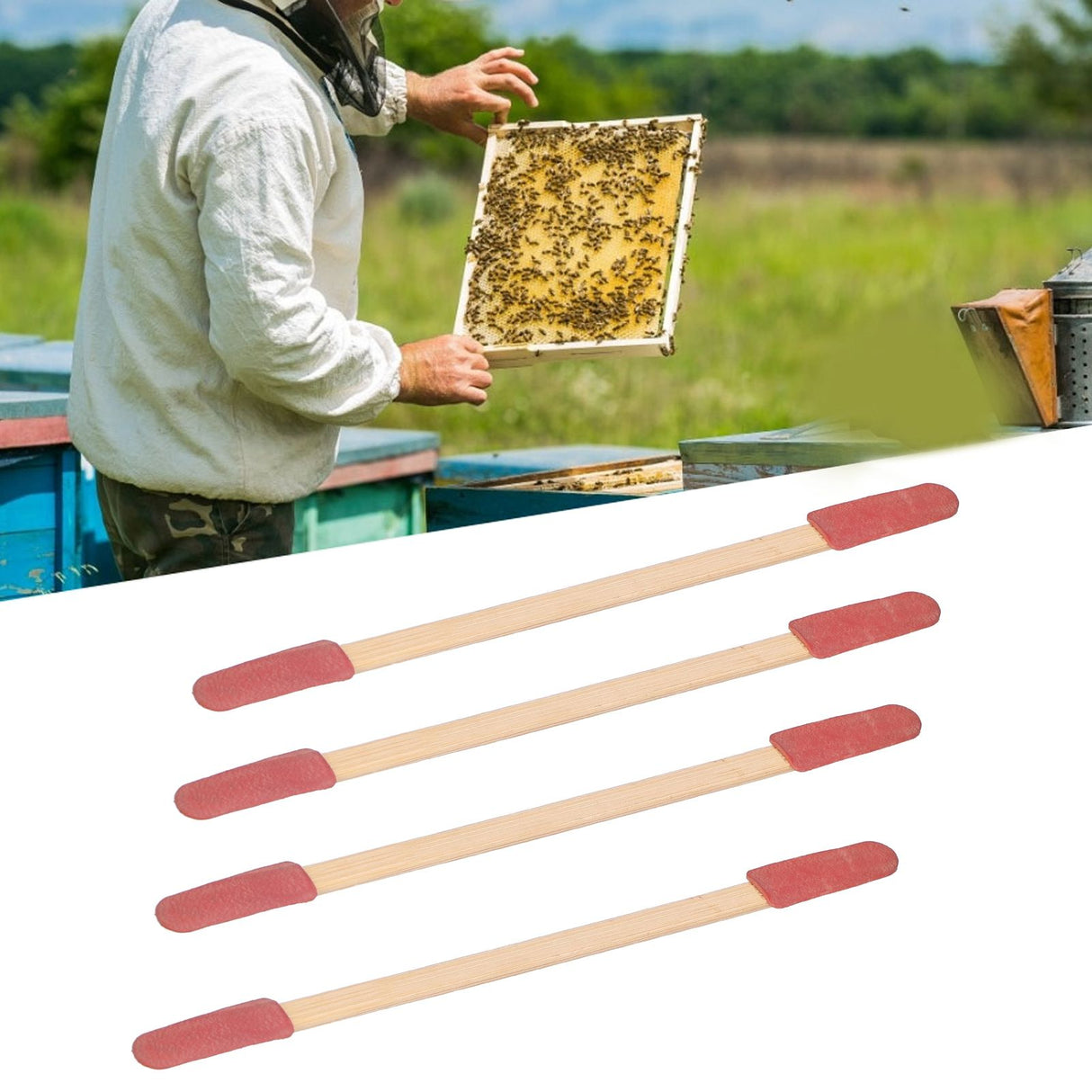50PCS Beekeeping Equipment Bamboo Take Pulp Pen Double-Headed Royal Honey Catch Equipment
