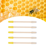 25PCS Beekeeping Double‑Headed Bamboo Plastic Picking Pen Bee Milk Pulp Taking Apiculture Tools - Extra Image