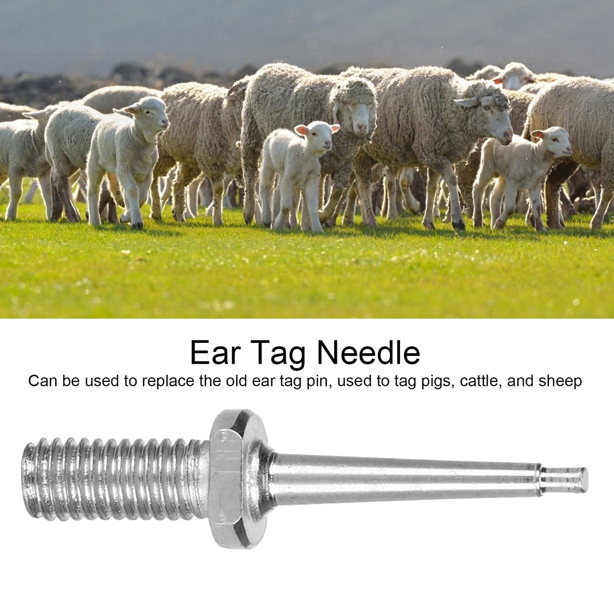 10pcs Ear Tag Pin Stainless Steel Livestock Ear Tag Plier Accessory for Cattle Pig Sheep