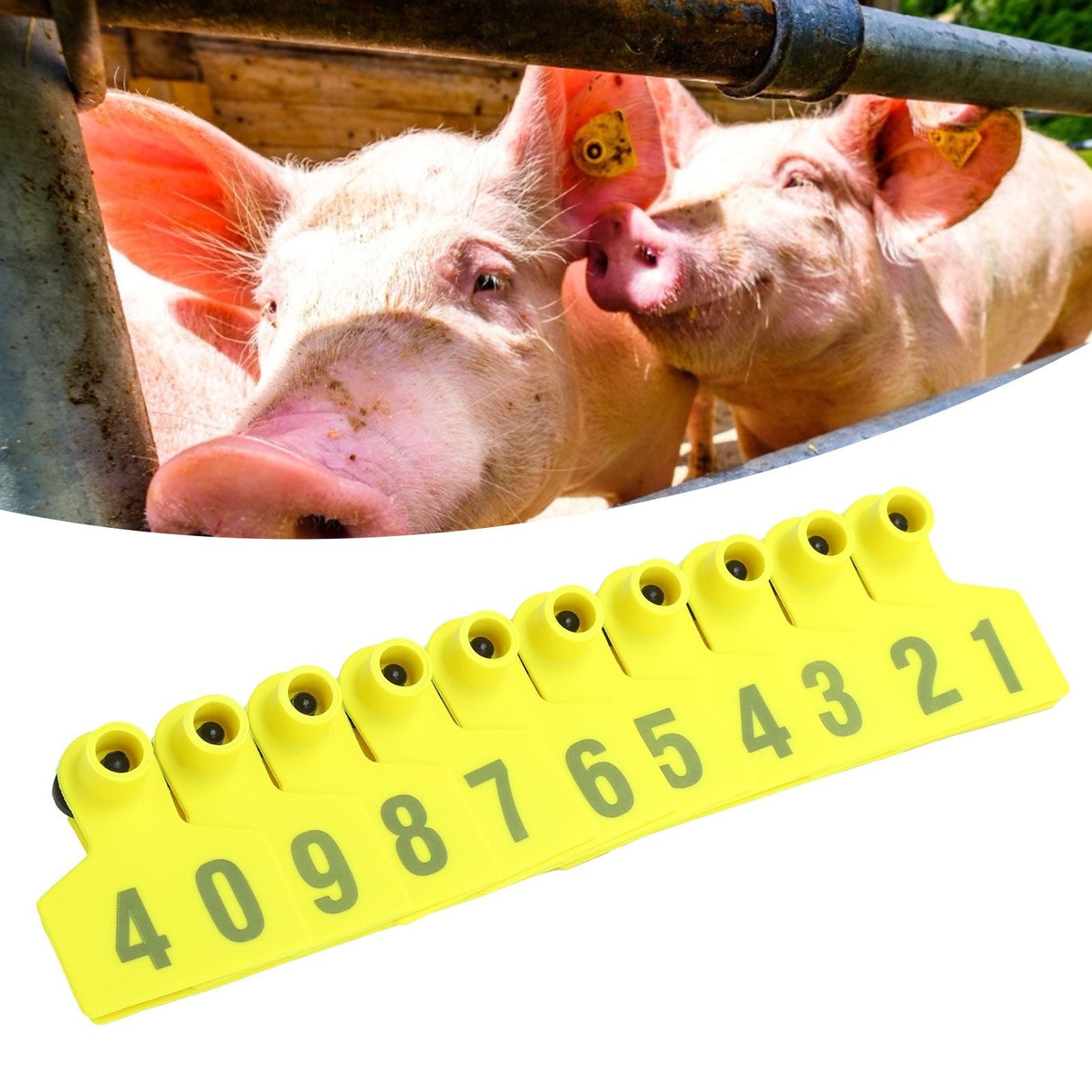 No.001‑100 Farm Pig Ear Tag Livestock Ear Tag Labels Set Poultry Breeding Supplies