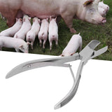 Stainless Steel Straight Head Piglet Teeth Cutter Pig Tooth Scissor Piglet Clipper Forceps