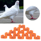 100pcs Birds Foot Rings Number Identification Pigeon Leg Bands Poultry Clip RingOrange - Extra Image