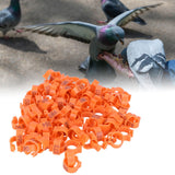 100pcs Birds Foot Rings Number Identification Pigeon Leg Bands Poultry Clip RingOrange - Extra Image