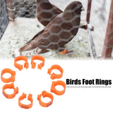 100pcs Birds Foot Rings Number Identification Pigeon Leg Bands Poultry Clip RingOrange