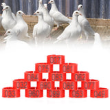 100Pcs Pigeons Identify Ring 001‑100 Numbered Poultry Leg Ring Bird Leg Bands Foot Ring10mm Red Ring with Number - Extra Image