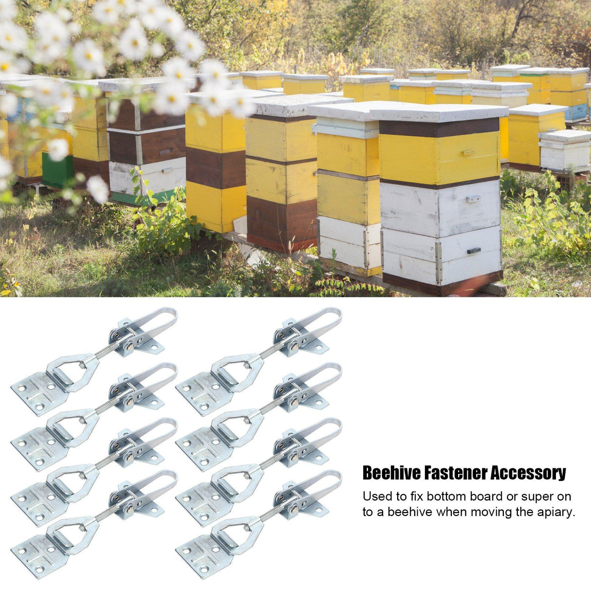 10Set Beehive Fasteners Adjustable Beekeeping Box Buckle Tool Apiculture Equipment
