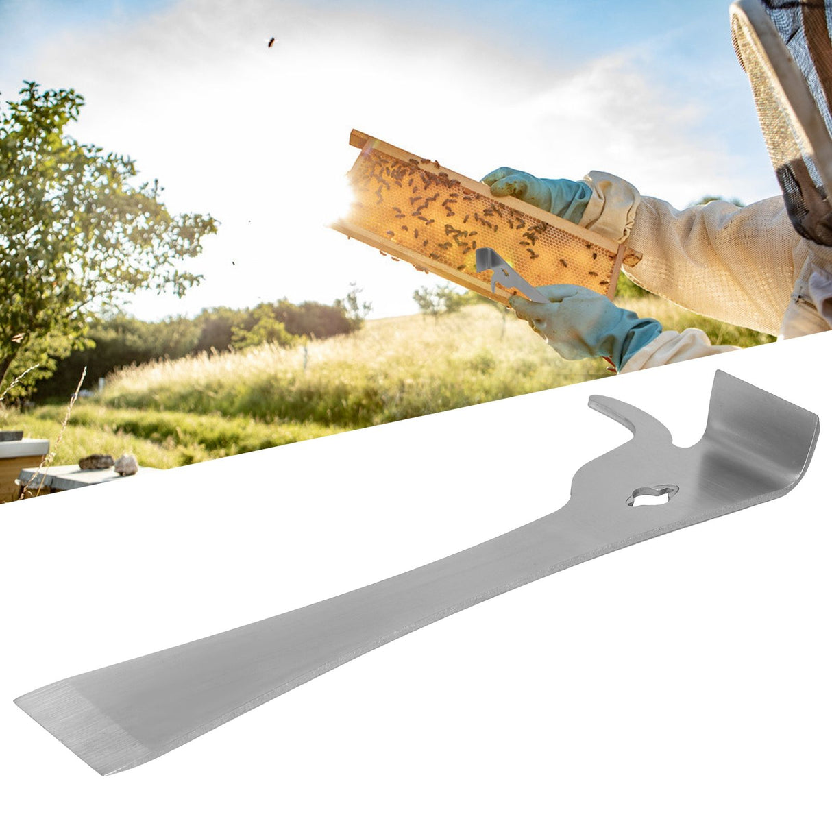 Stainless Steel Beehive Frame Cleaner Honey Scraper Knife Beekeeping Apiculture Tool