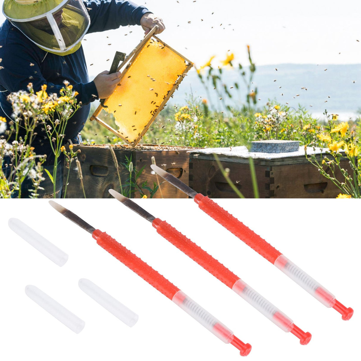 10Pcs Beekeeping Grafting Needles Bee Queen Larvae Rearing Equipment for Apiculture