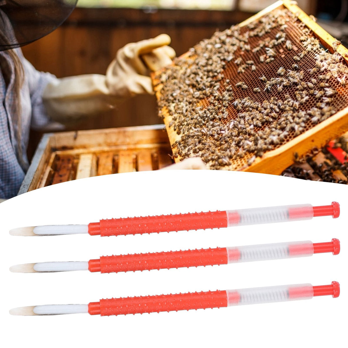 10Pcs Beekeeping Grafting Needles Bee Queen Larvae Rearing Equipment for Apiculture
