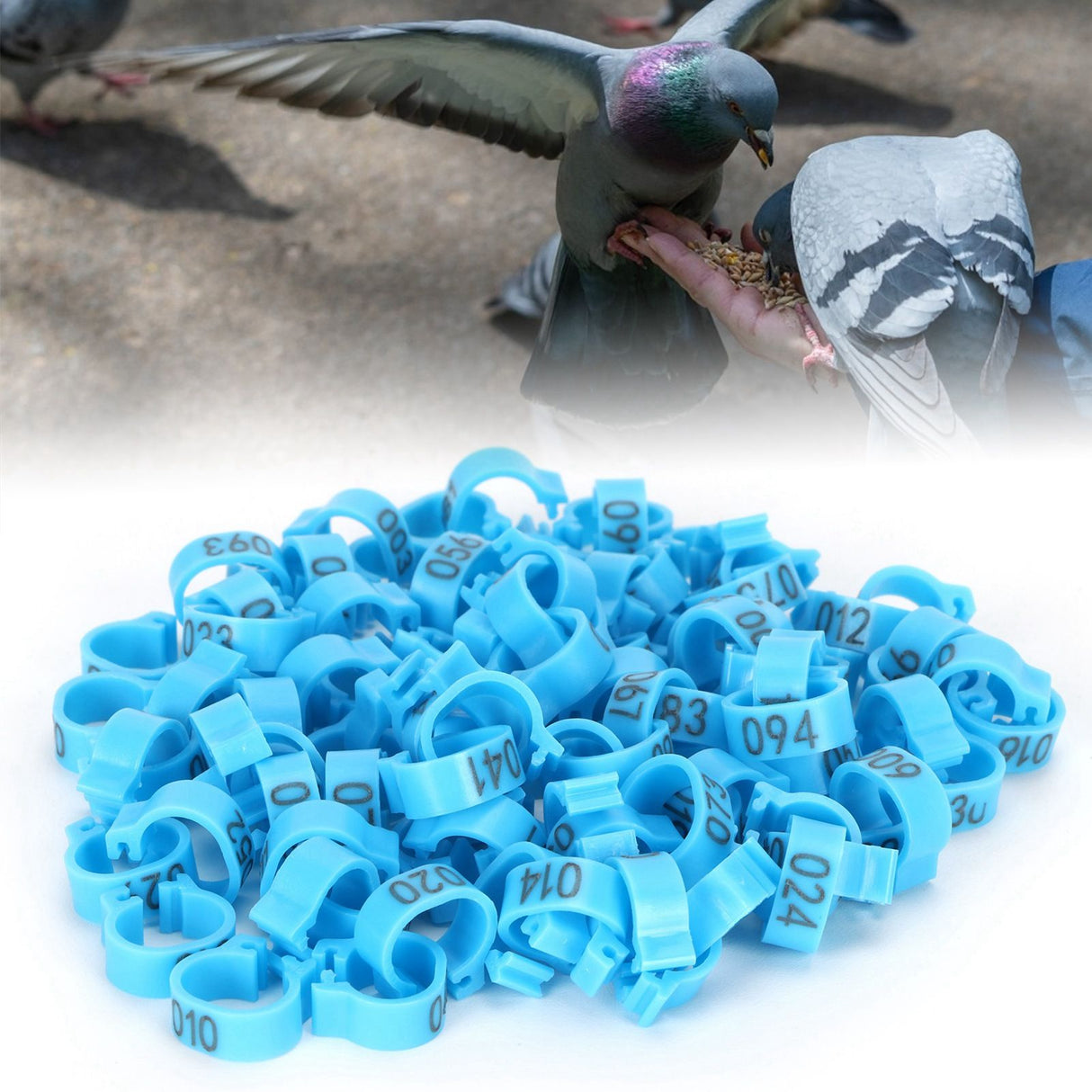001‑100 Numbered Bird Leg Bands 8mm Poultry Identify Rings Accessory for Birds PigeonsBlue