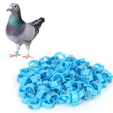 001‑100 Numbered Bird Leg Bands 8mm Poultry Identify Rings Accessory for Birds PigeonsBlue - Extra Image