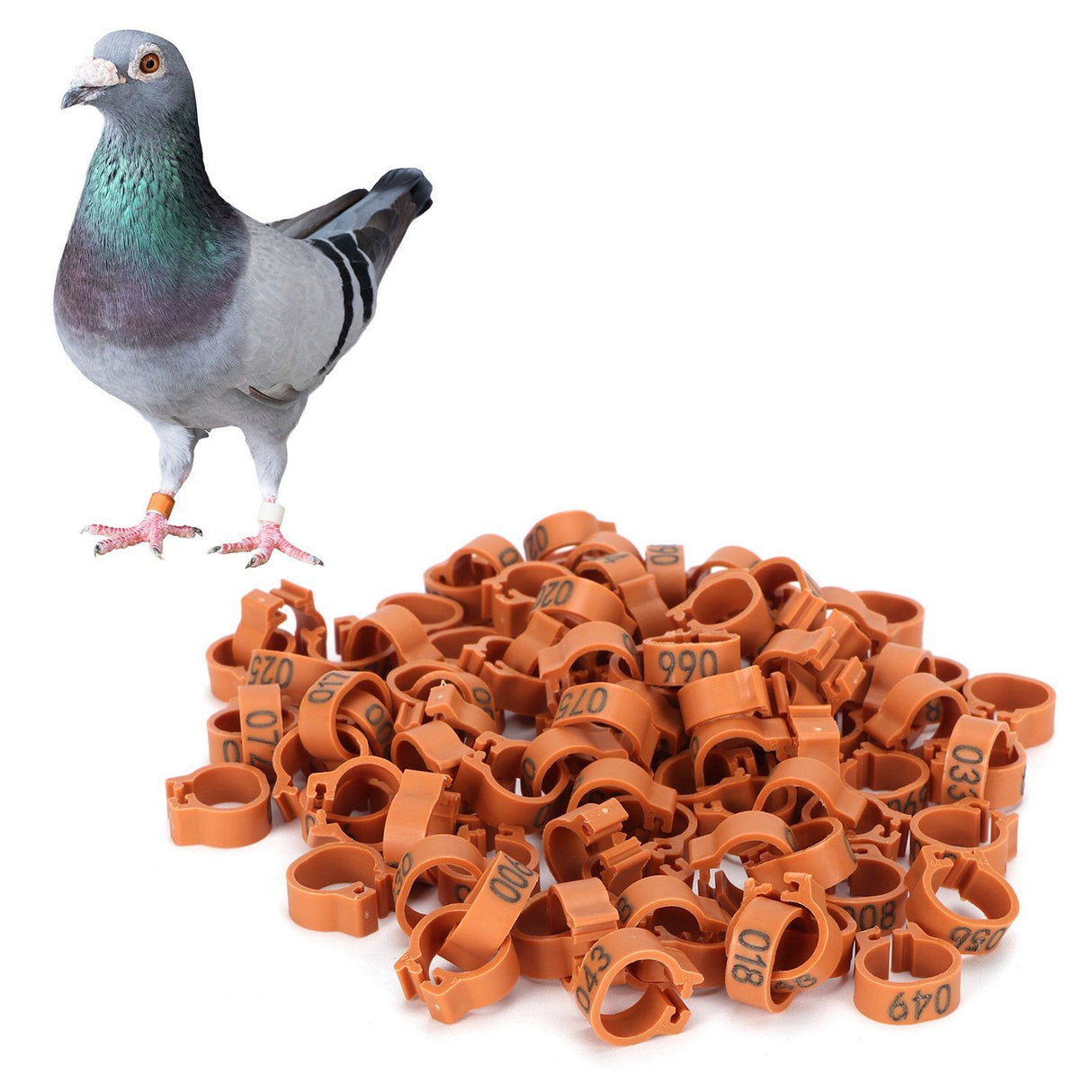 001‑100 Numbered Bird Leg Bands 8mm Poultry Identify Rings Accessory for Birds PigeonsCoffee