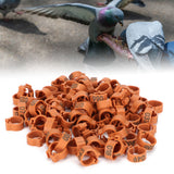 001‑100 Numbered Bird Leg Bands 8mm Poultry Identify Rings Accessory for Birds PigeonsCoffee