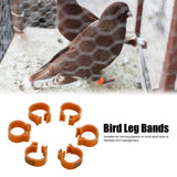 001‑100 Numbered Bird Leg Bands 8mm Poultry Identify Rings Accessory for Birds PigeonsCoffee