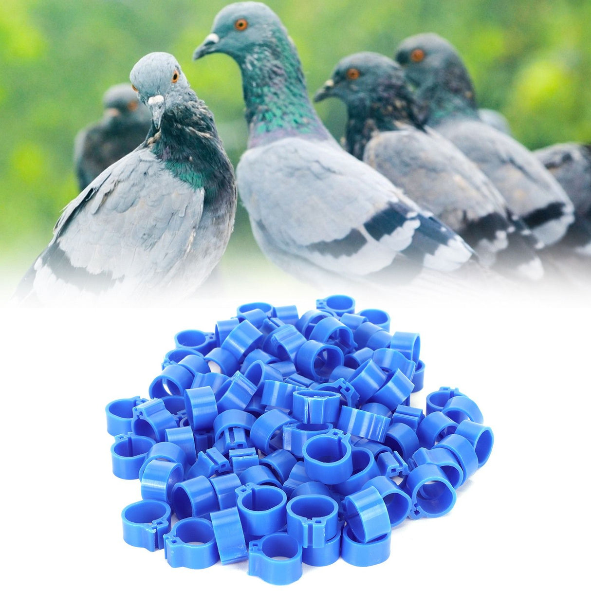 200Pcs 10mm Pigeons No Word Leg Ring Poultry Foot Clip Identification Ring Birds SuppliesBlue