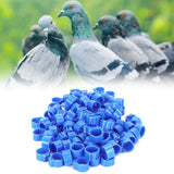 200Pcs 10mm Pigeons No Word Leg Ring Poultry Foot Clip Identification Ring Birds SuppliesBlue