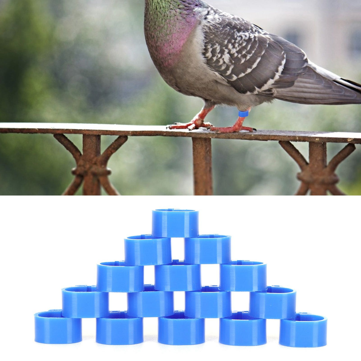 200Pcs 10mm Pigeons No Word Leg Ring Poultry Foot Clip Identification Ring Birds SuppliesBlue