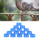 200Pcs 10mm Pigeons No Word Leg Ring Poultry Foot Clip Identification Ring Birds SuppliesBlue