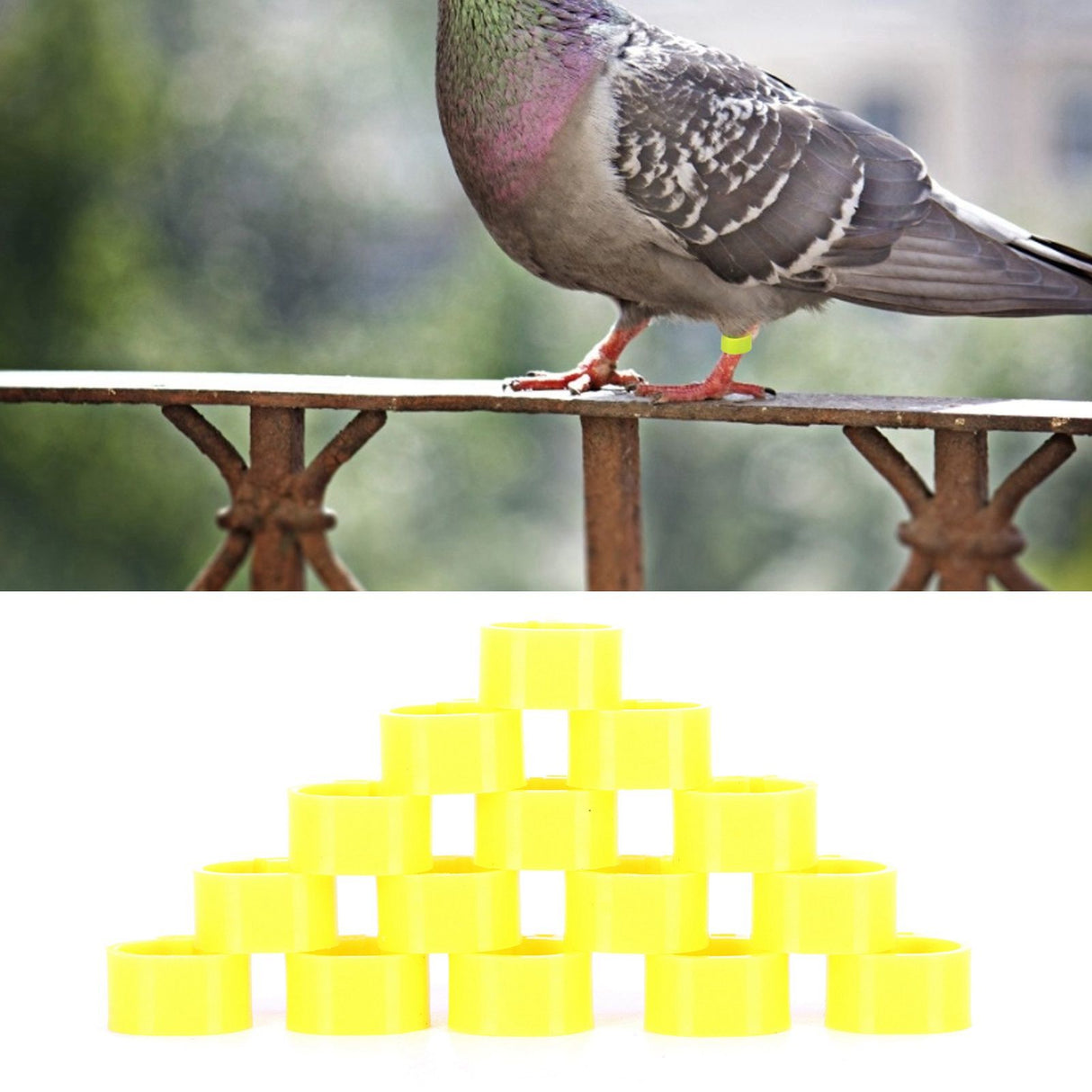 200Pcs 10mm Pigeons No Word Leg Ring Poultry Foot Clip Identification Ring Birds SuppliesYellow