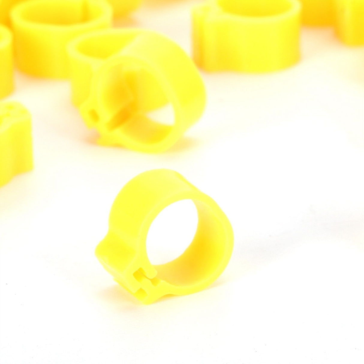 200Pcs 10mm Pigeons No Word Leg Ring Poultry Foot Clip Identification Ring Birds SuppliesYellow