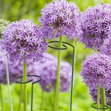 10Pcs Potted Plants Metal Trellis Provide Support 25CM Length Green Small Garden Trellis for Gardens Lawns Decks Patios