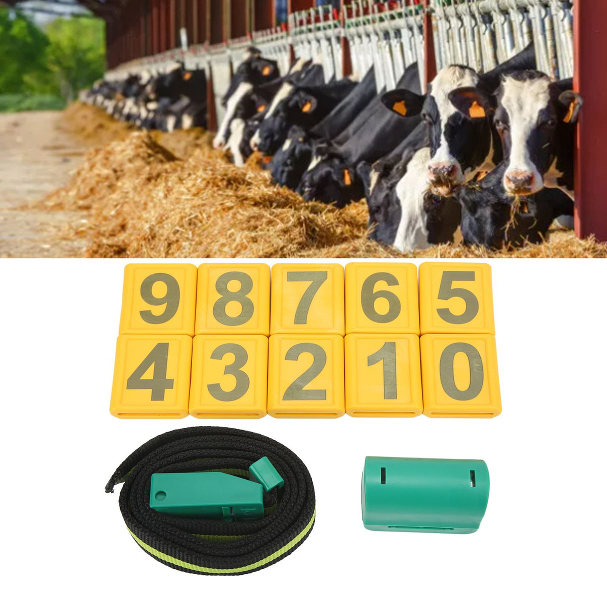 Cow Collar Wear Resistant Plastic Animal Collar with Pedometer 10 Number Plate Cow Identifying Collar for Animal Husbandry