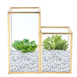 Glass Storage Container Garden Polygonal Column Golden Brass Bar Welding Flower Room Box - Extra Image
