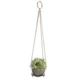 Plant Hanger Indoor Wall Hanging Flower Pot Holder Garden Courtyard Wall DecorationGreen 10cm