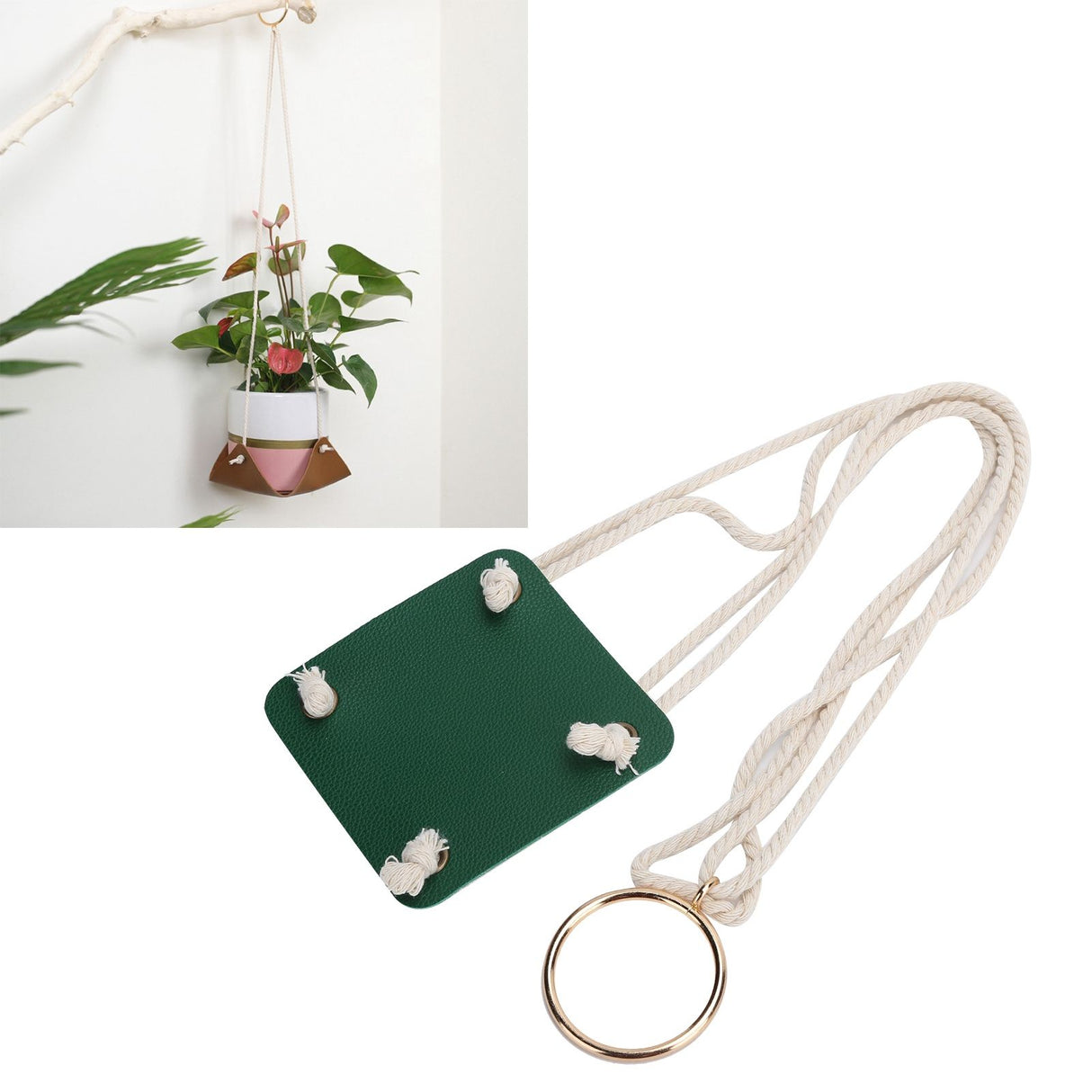 Plant Hanger Indoor Wall Hanging Flower Pot Holder Garden Courtyard Wall DecorationGreen 10cm