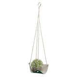 Plant Hanger Indoor Wall Hanging Flower Pot Holder Garden Courtyard Wall DecorationGreen 20cm - Top-Down View