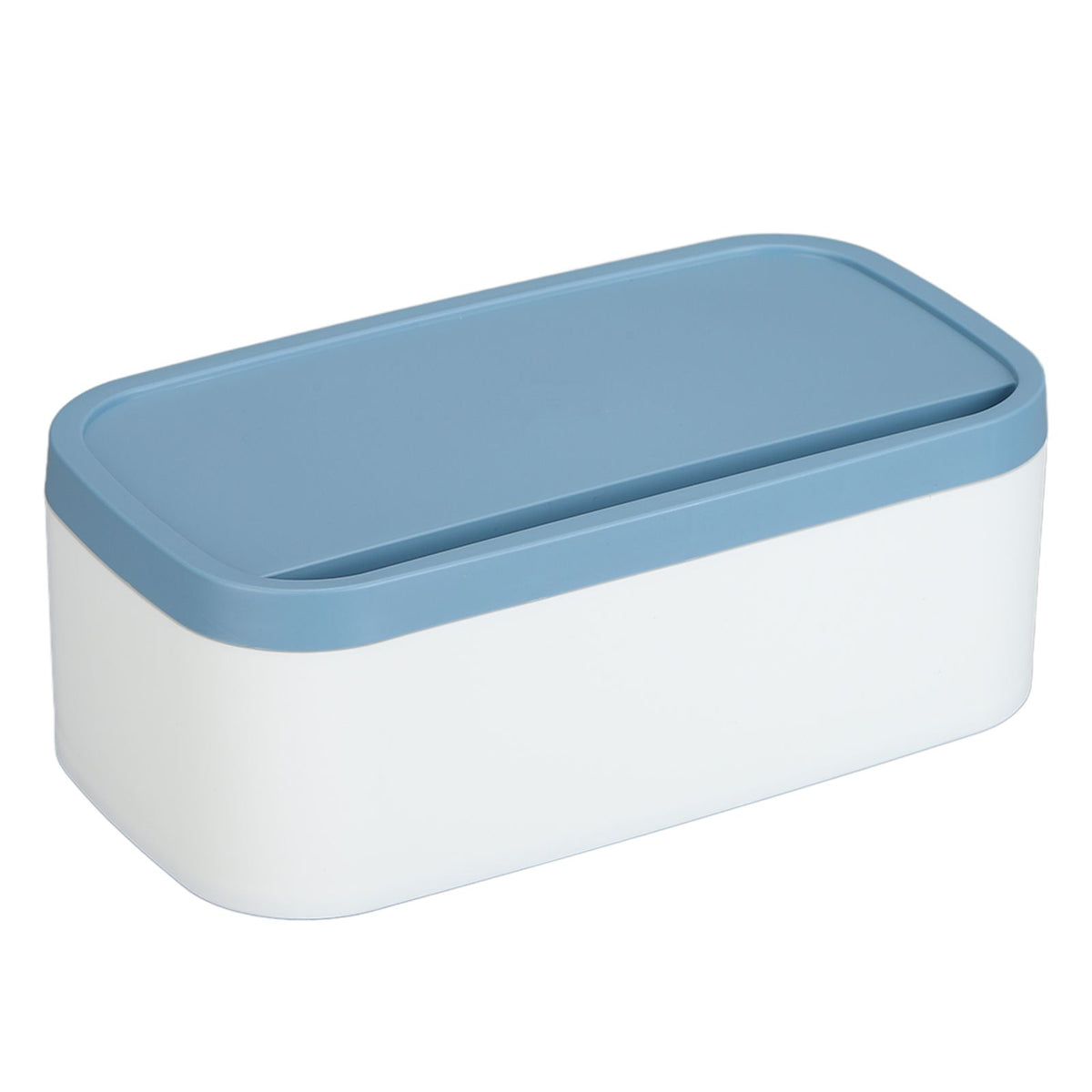 Portable Storage Box Reusable Dustproof Mouth Muffle Face Cover Organizer High Capacity for Home SchoolBlue