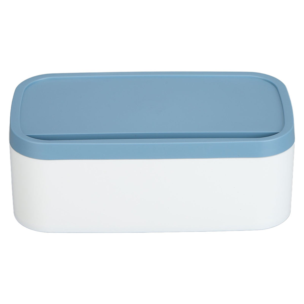 Portable Storage Box Reusable Dustproof Mouth Muffle Face Cover Organizer High Capacity for Home SchoolBlue