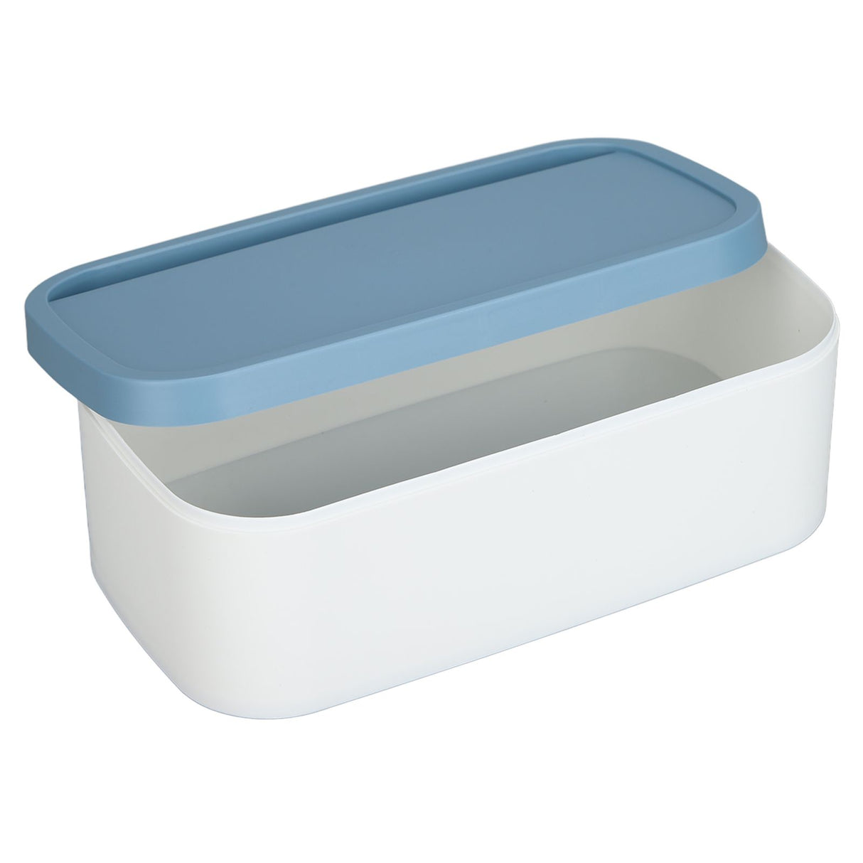 Portable Storage Box Reusable Dustproof Mouth Muffle Face Cover Organizer High Capacity for Home SchoolBlue