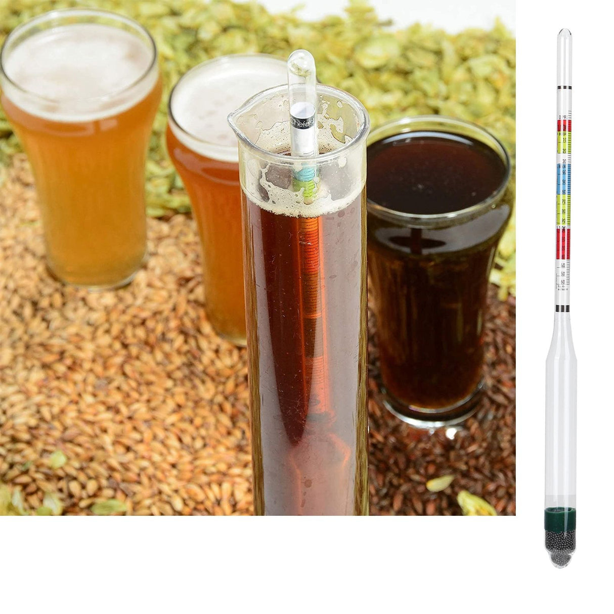 Hydrometer Tester with Sugar Ethanol Density Scales Wine Beer Brewing Measuring Instrument