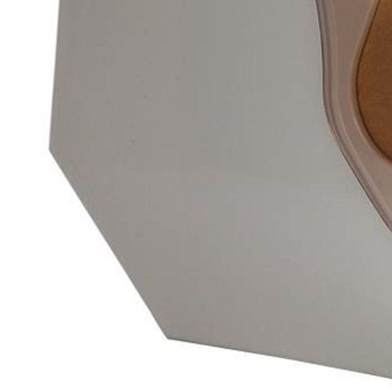 Plastic Coffee Filter Holder with Cover Filter Paper Dustproof Storage Box Dispenser Rack White