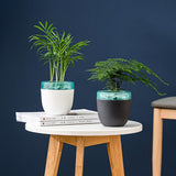 Automatic Self Watering Flower Pot Double Layer Design Planter for Office Home Gardening