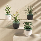 Automatic Self Watering Flower Pot Double Layer Design Planter for Office Home Gardening