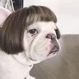 Dog Wig Pet Costumes Pet Headwear Hair Costumes for Festival Cosplay Party