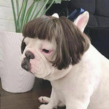 Dog Wig Pet Costumes Pet Headwear Hair Costumes for Festival Cosplay Party