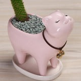 Kitten Ceramic Succulent Pots with Drain Hole Mini Pots for Plants Cactus Plants Containers for Home and Office Decoration