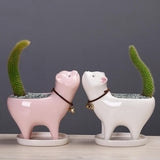 Kitten Ceramic Succulent Pots with Drain Hole Mini Pots for Plants Cactus Plants Containers for Home and Office Decoration