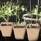Plant Starter Peat Pots with Labels Flower Vegetable Seedlings Nursery Cup Paper Planter Pot Garden Supplies - Top-Down View