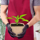 Plant Starter Peat Pots with Labels Flower Vegetable Seedlings Nursery Cup Paper Planter Pot Garden Supplies