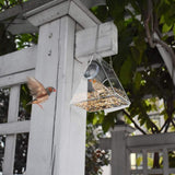Bird Feeder Clear Acrylic Hanging Wild Bird Feeder Seed Tray for Indoor and Outdoor Garden